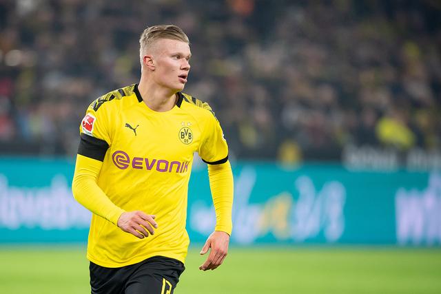 印度猎豹队 印度猎豹队